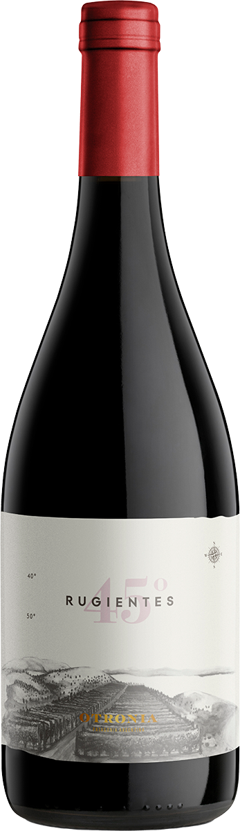 6010450 45 Rugientes Pinot Noir - Bio