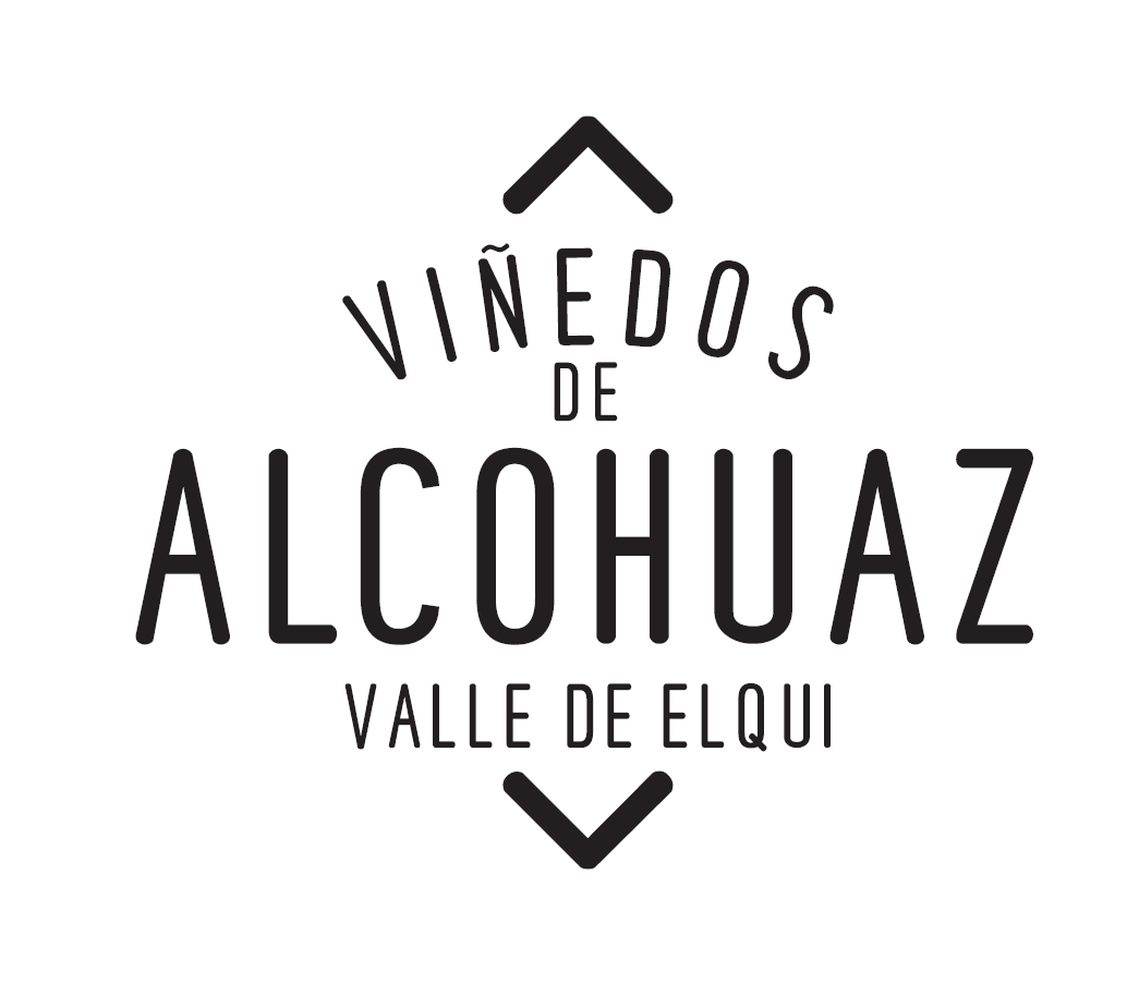 Viñedos de Alcohuaz